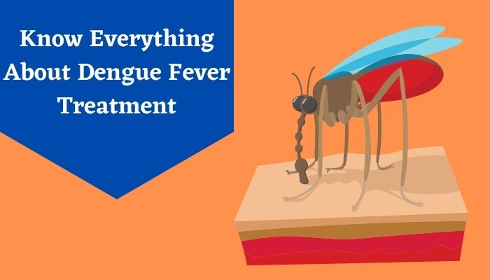 dengue fever treatment