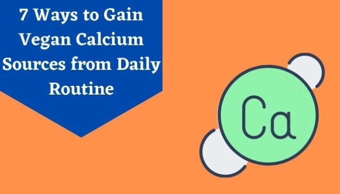 7 Ways to Gain Vegan Calcium Sources from Daily Routine