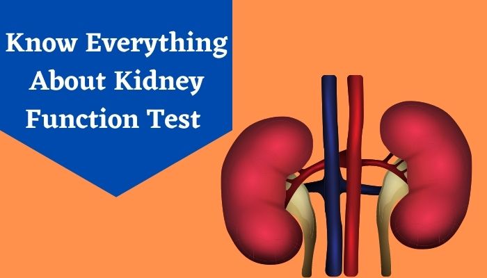 kidney-function-test-types-procedure-results-of-kidney-profile-test