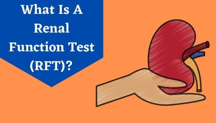 Renal Function Test RFT Meaning Procedure Purpose Of RFT Blood 