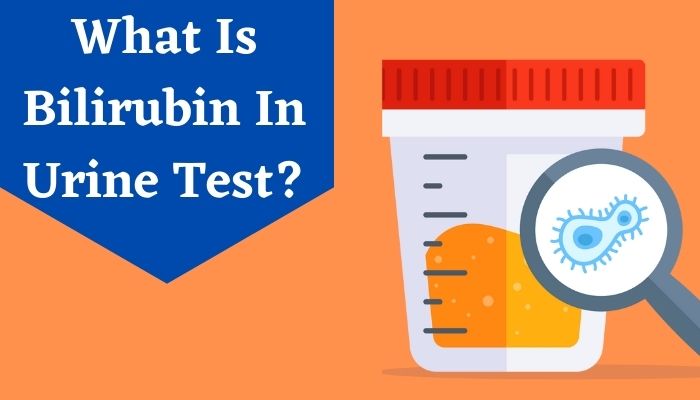 bilirubin-in-urine-complete-guide-on-what-is-bilirubin-in-urine-livlong