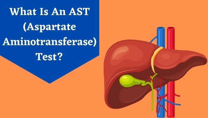 what-is-an-aspartate-aminotransferase-ast-test